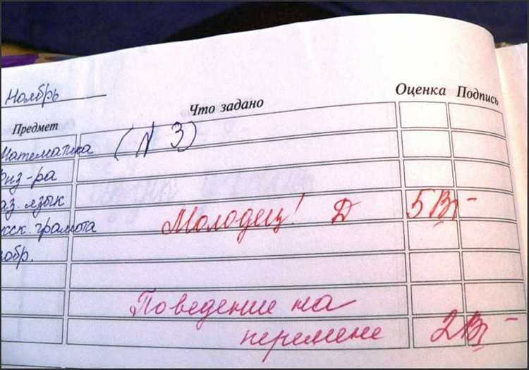 Как проверить сайт на наличие ошибок? Сервисы, которые поставят вам двойку